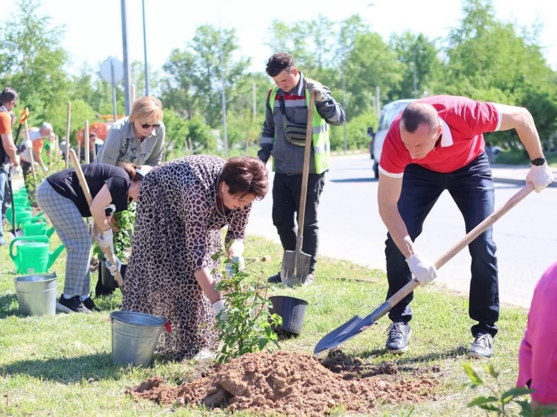 Благоустройство и создание комфортной городской среды Фонд муниципального развития города Калуги